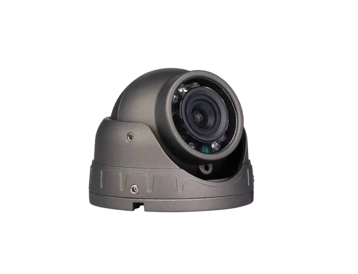 TYD-939C42 Metal Conch 720P